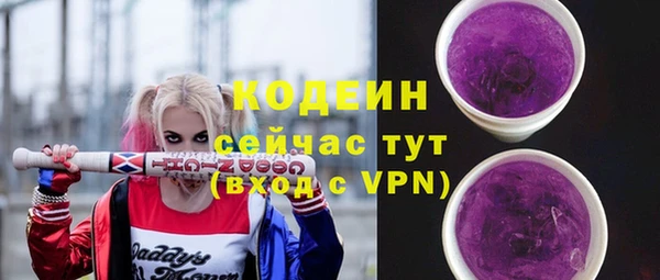 PSILOCYBIN Гусь-Хрустальный