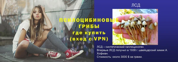 прущие крисы Гусиноозёрск