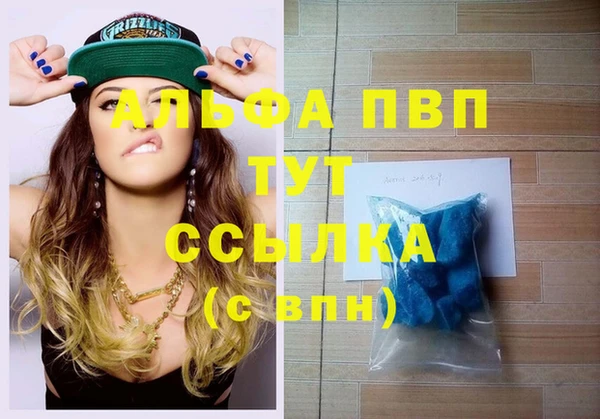 PSILOCYBIN Гусь-Хрустальный