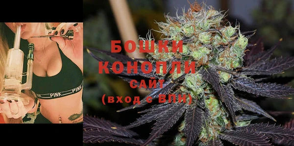 ECSTASY Гусев