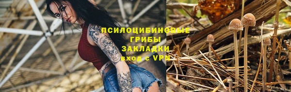 PSILOCYBIN Гусь-Хрустальный