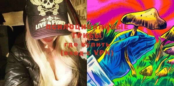 ECSTASY Гусев