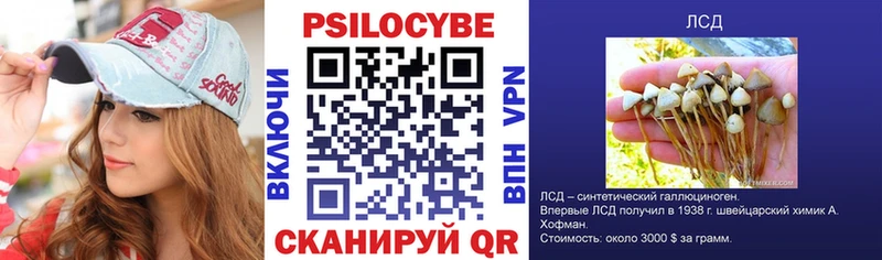 Галлюциногенные грибы Magic Shrooms  как найти закладки  Железноводск 