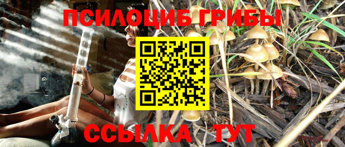 Железноводск  Псилоцибиновые грибы Psilocybe  Галлюциногенные грибы GOLDEN TEACHER  цена   Вход с VPN 